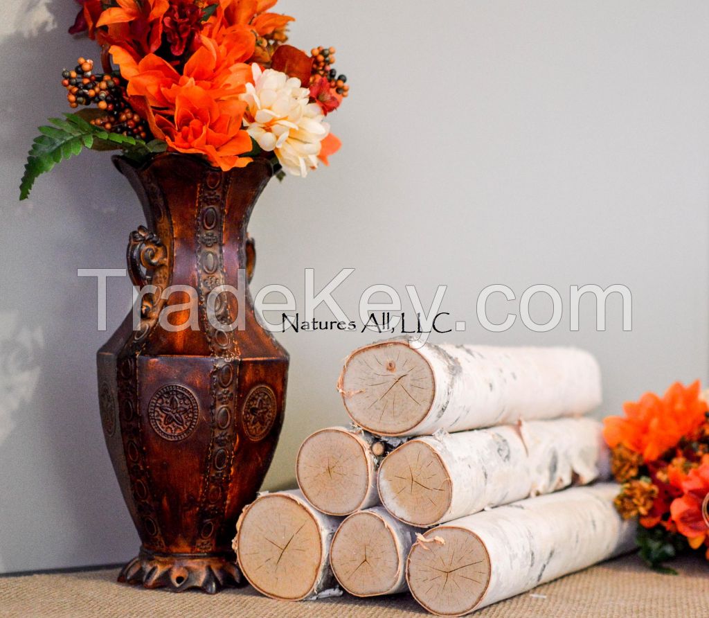 Decorative White Birch Logs/6 Piece Set For Home Dcor: