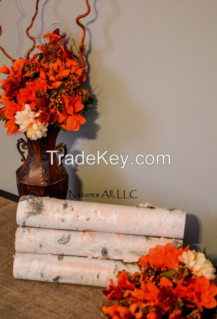 Decorative White Birch Logs/6 Piece Set For Home Dcor: