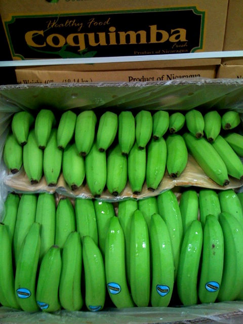 Fresh Premium Quality Bananas