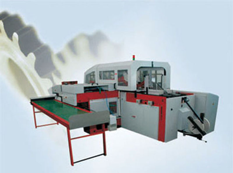 ST036S Automatic Case Maker