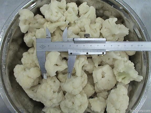 Frozen cauliflower / broccoli/ vegetable