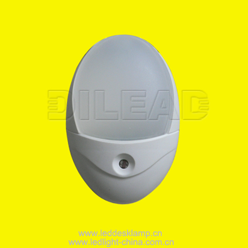 LED Night Light