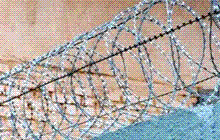 Concertina Cross Razor Wire