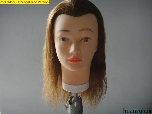 Training Head Mannequin