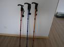 carbon trekking poles