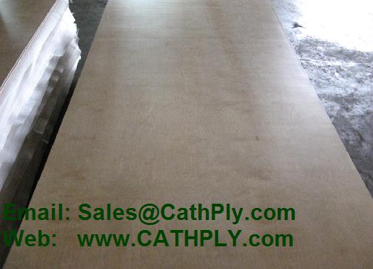 UV Coated Plywood