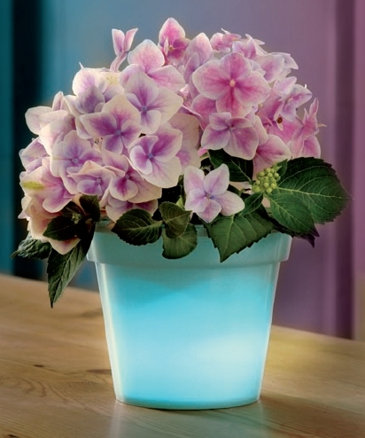 Led Flower Pot(BNL-303153)