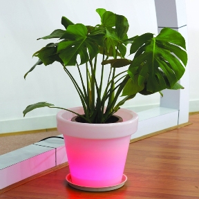 LED Flower pot(BNL-303134)