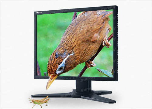 No-glasses, LCD/LED 3D display, 3D TV