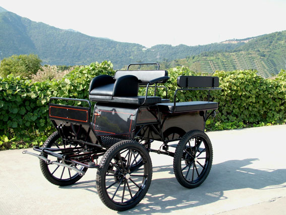 Pleasure horse Wagon horse carriage