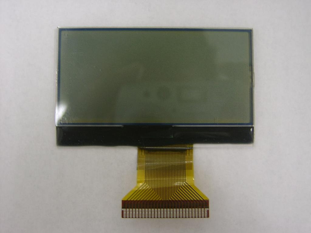 Graphic LCD Module