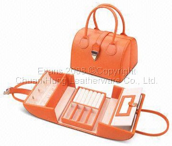 Mini Carrying jewel box/bag