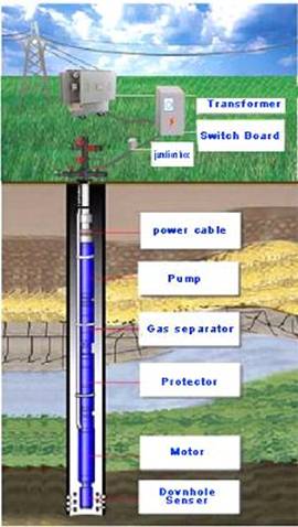 Electrical Submersible Pump