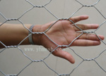 hexagonal wire mesh