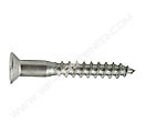 Wood Screw