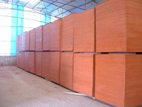 sell   plywood and film faced plywood