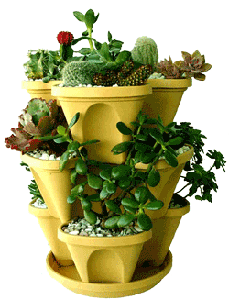 flower pot