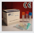 Real Time PCR Diagnostic Kit