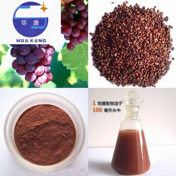 Grape Seed Extract, proanthocyanidins