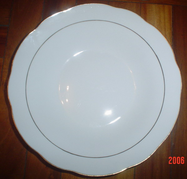 porcelain dinner plate