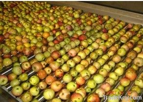 Turnkey Industrial Apple Drink Processing Line/machine