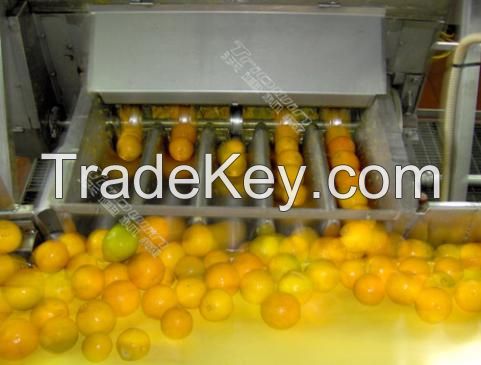 Turnkey Industrial Citrus/Orange Juice Processing Line/Machine