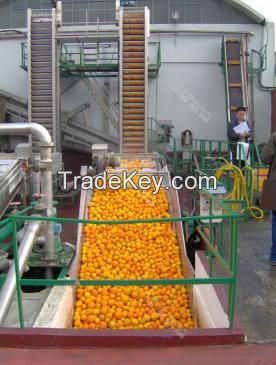 Turnkey Industrial Citrus/Orange Juice Processing Line/Machine