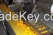 Turnkey Industrial Citrus/Orange Juice Processing Line/Machine