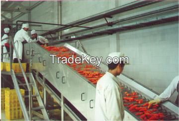 Turnkey Industrial Carrot Juice Processing Machine/line