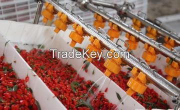 Turnkey Industrial Wolfberry Juice Processing Line/Machine