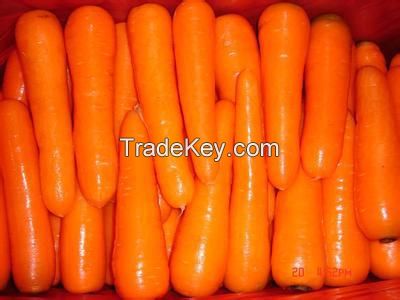 Turnkey Industrial Carrot Juice Processing Machine/line