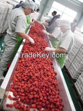 Turnkey Industrial Strawberry Juice Processing Line