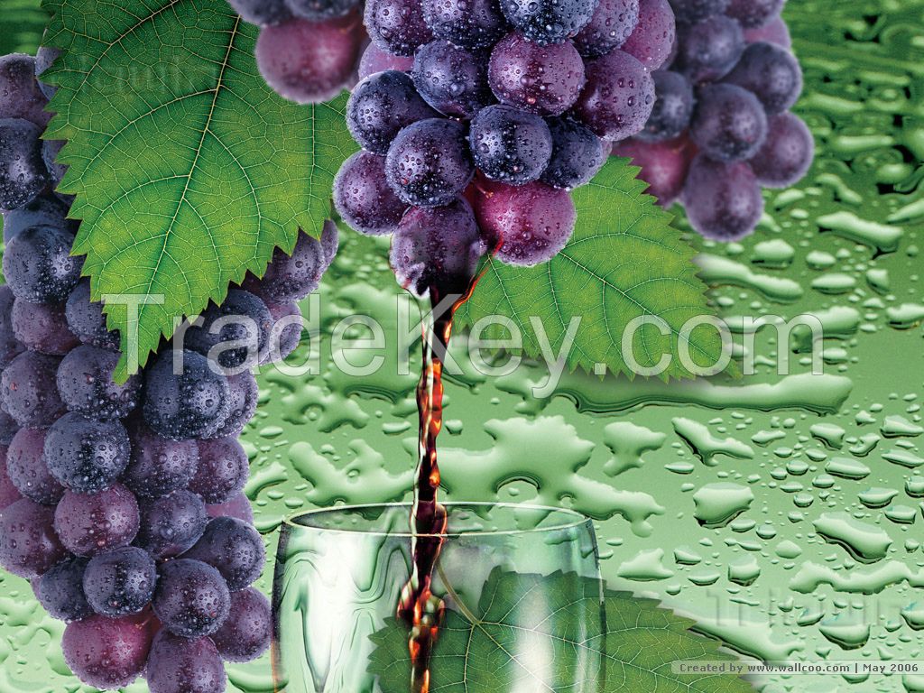 Turnkey Industrial Fruit wine/vinegar Processing Line/Machine
