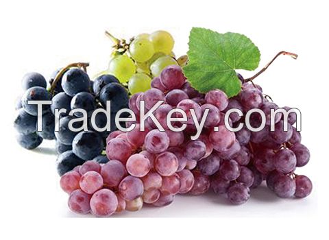 Turnkey Industrial Grape Drink Processing Line/Machine