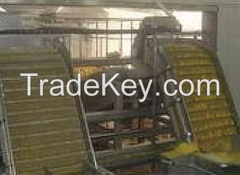 Turnkey Industrial Peach Drink Processing Line/Machine