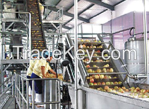 Turnkey Industrial Peach Drink Processing Line/Machine