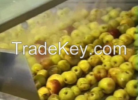 Turnkey Industrial Apple Drink Processing Line/machine