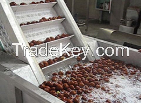 Turnkey Industrial Date Juice/Drink  Processing Line/Machine