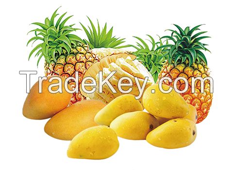 Turnkey Industrial Mango/pineapple Juice Processing Line/machine