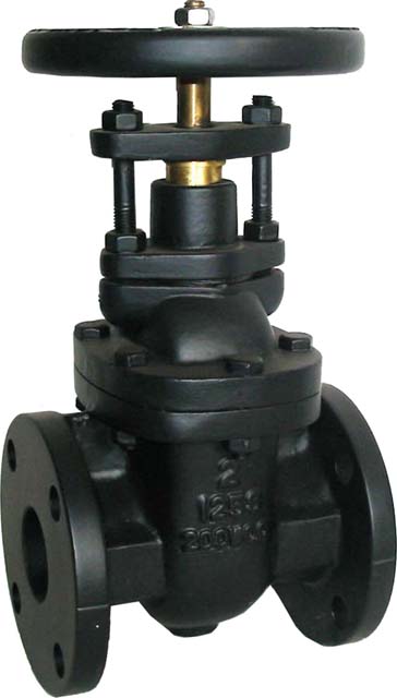 Cast Iron Gate valve