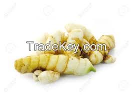 ORGANIC PREMIUM TURMERIC