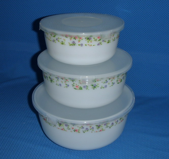 Set-3 Opal Glass Noodle Bowl