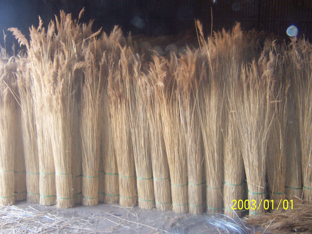 reed bundles