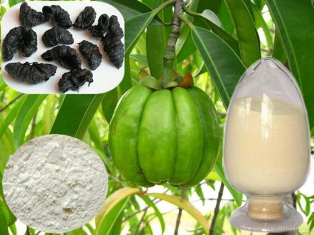 Garcinia Cambogia Extract Powder 60%