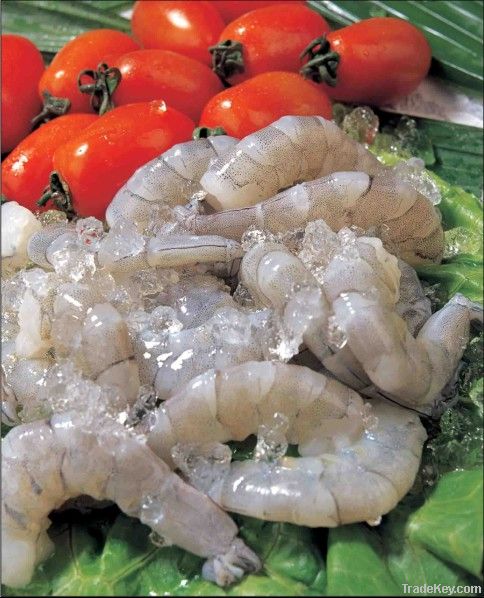 FROZEN WHITE SHRIMP (PND)