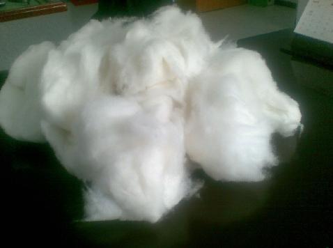 Supply Cashmere Raw Material