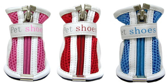 Pet Shoes