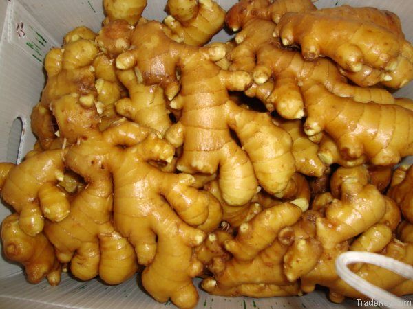 fresh ginger/air dried ginger