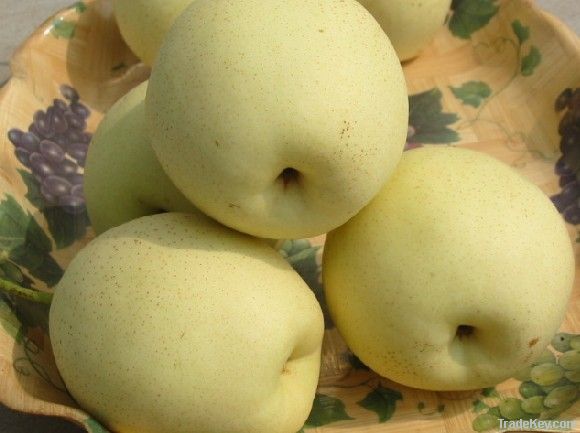 fresh ya pear