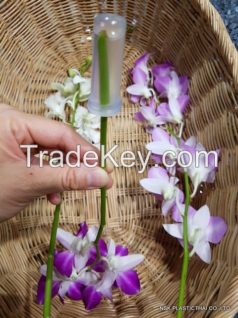 "Orchid tube" - plastic flower tube